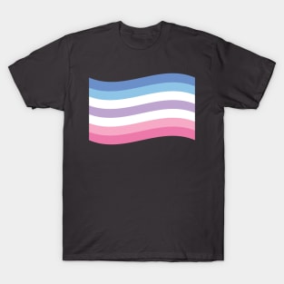 Bigender pride flag T-Shirt